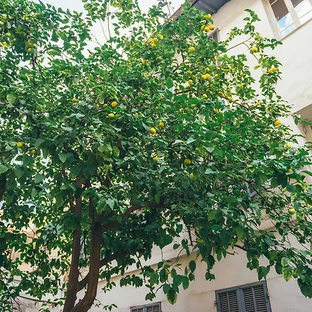 Massingy Apartmán *